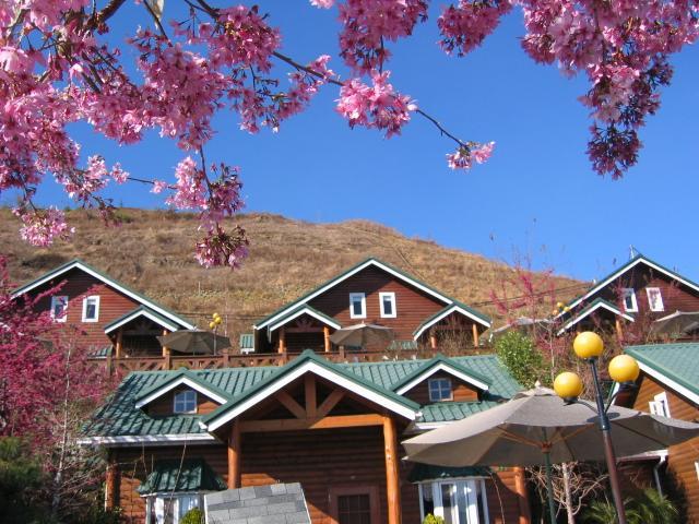 清境豐田桂林山莊民宿 เหรินอ้าย ภายนอก รูปภาพ